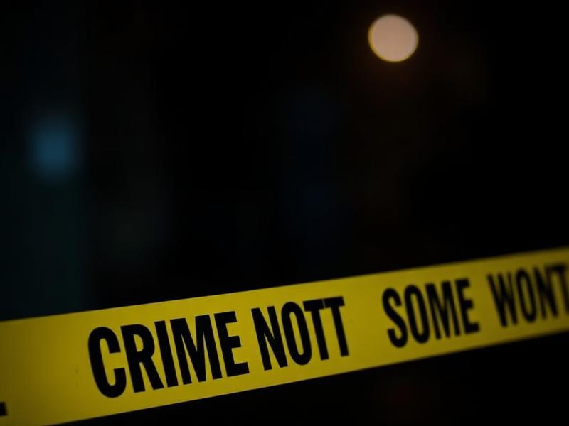 Homicide / Murder